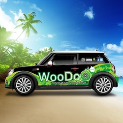 Logo design for WooDoo by Donny Sakul